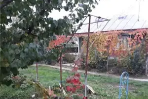 A   13. 20000 mp teren și 3 constructii casa in judetul Bacău  - imagine 7