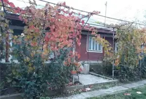 A   13. 20000 mp teren și 3 constructii casa in judetul Bacău  - imagine 9
