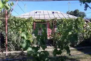 A   13. 20000 mp teren și 3 constructii casa in judetul Bacău  - imagine 5