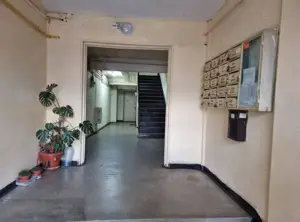 A9   Apartament Mioriței, 874 mp confort 1 sporit ,spațios , 2 holuri ,2 balcoane,,2 bai  - imagine 2