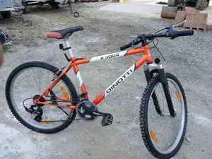 Vind Biciclete Dinotti