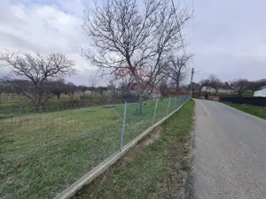 Teren intravilan la Strada Principala in Haulisca - imagine 2