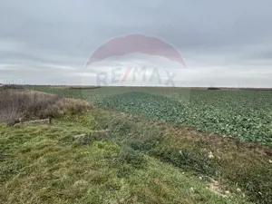 Teren intravilan 80500mp. aproape de nodul rutier de pe DX Oradea-Arad - imagine 5