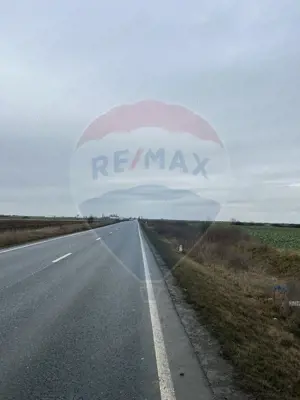 Teren intravilan 80500mp. aproape de nodul rutier de pe DX Oradea-Arad - imagine 10