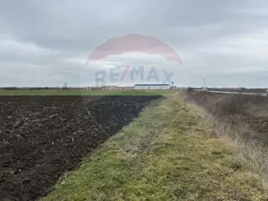 Teren intravilan 80500mp. aproape de nodul rutier de pe DX Oradea-Arad - imagine 9