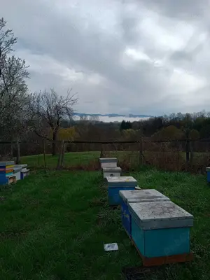 Casă la sat- cu teren de 3000 m  - imagine 7
