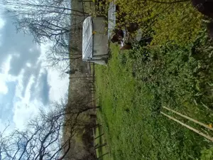 Casă la sat- cu teren de 3000 m  - imagine 6