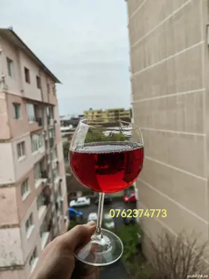 vin merlot, muscat ottonel, fetească.