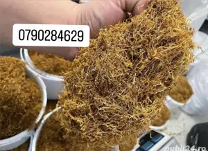 Tutun firicel si tocat maruntit