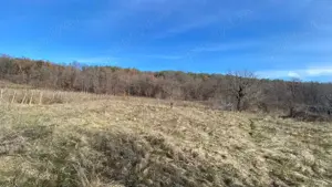 Teren Balotesti - 3900 mp - imagine 8