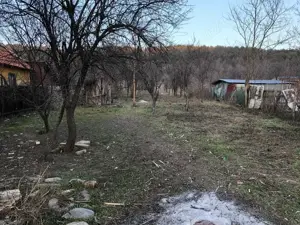 Teren Balotesti - 3900 mp - imagine 4