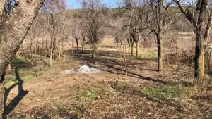 Teren Balotesti - 3900 mp - imagine 6