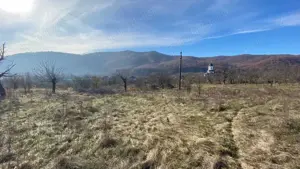 Teren Balotesti - 3900 mp - imagine 7