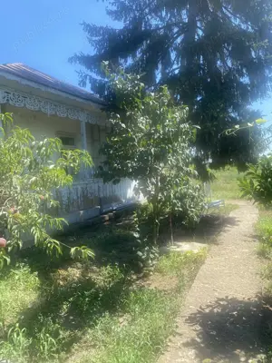 Casa batraneasca + teren, oras Insuratei, jud. Braila - imagine 2