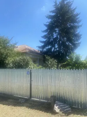 Casa batraneasca + teren, oras Insuratei, jud. Braila - imagine 4