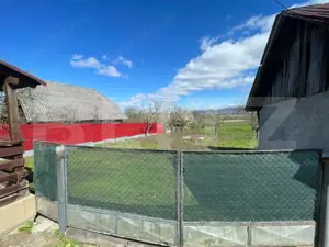 Casa cu 3 camere, 90 mp, 2 anexe gospodaresti si teren de 3000 mp, zona Crucisor - imagine 9