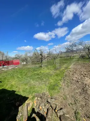 Casa cu 3 camere, 90 mp, 2 anexe gospodaresti si teren de 3000 mp, zona Crucisor - imagine 12