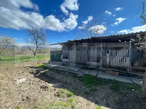 Casa cu 3 camere, 90 mp, 2 anexe gospodaresti si teren de 3000 mp, zona Crucisor - imagine 13