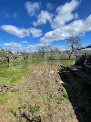 Casa cu 3 camere, 90 mp, 2 anexe gospodaresti si teren de 3000 mp, zona Crucisor - imagine 11