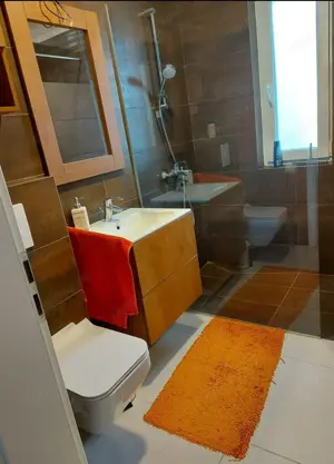 2 camere la doar 4 minute de hotel IQ GIROC BRAYTIM - imagine 2