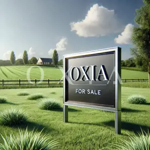 SX580 Becicherecu Mic - Teren Intravilan