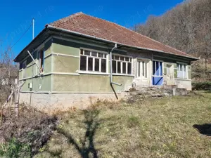 Proprietate cu casă și teren 7.000 mp,sat Ormindea-com.Băița