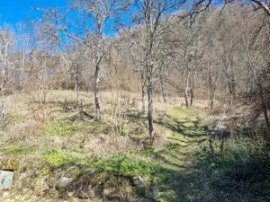 Proprietate cu casă și teren 7.000 mp,sat Ormindea-com.Băița - imagine 8