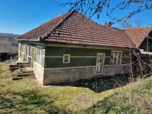 Proprietate cu casă și teren 7.000 mp,sat Ormindea-com.Băița - imagine 7