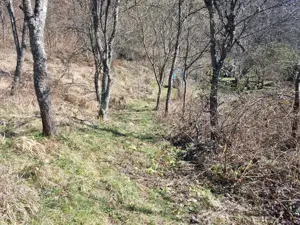 Proprietate cu casă și teren 7.000 mp,sat Ormindea-com.Băița - imagine 12