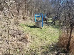 Proprietate cu casă și teren 7.000 mp,sat Ormindea-com.Băița - imagine 11