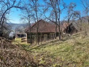 Proprietate cu casă și teren 7.000 mp,sat Ormindea-com.Băița - imagine 10