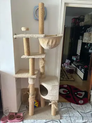 Ansamblu joaca pisici