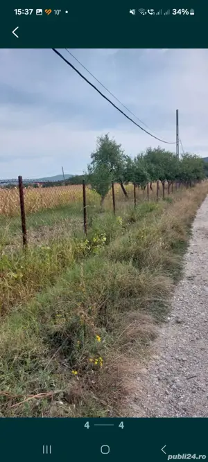 Teren Budesti, sat Ruda