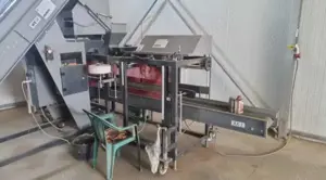 Mașină automată pentru cântărit si ambalat cartofi, ceapă  etc - imagine 6