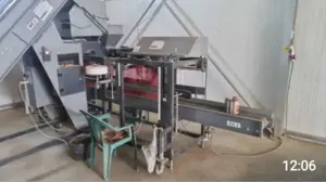 Mașină automată pentru cântărit si ambalat cartofi, ceapă  etc - imagine 3