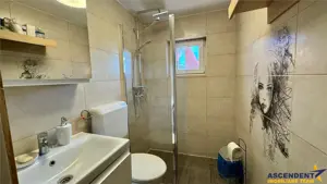 Casa stil, curte,garaj, Central, Brancovenesti, Mures, FILM  Tur Virtual! - imagine 6