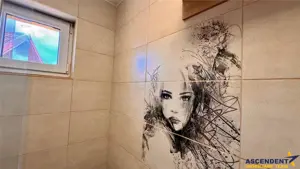 Casa stil, curte,garaj, Central, Brancovenesti, Mures, FILM  Tur Virtual! - imagine 12