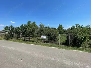 2 Terenuri pentru casa - Badeana 718 mp - imagine 3