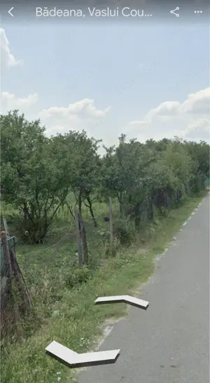 2 Terenuri pentru casa - Badeana 718 mp - imagine 2