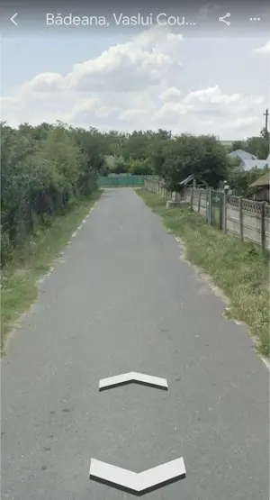 2 Terenuri pentru casa - Badeana 718 mp