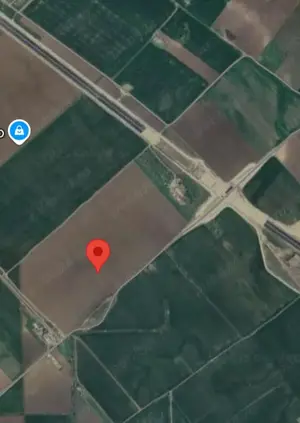 Clinceni, intravilan, 16.000 mp