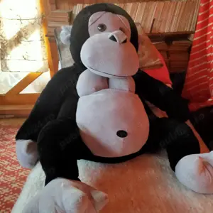 muțunachi la un metru