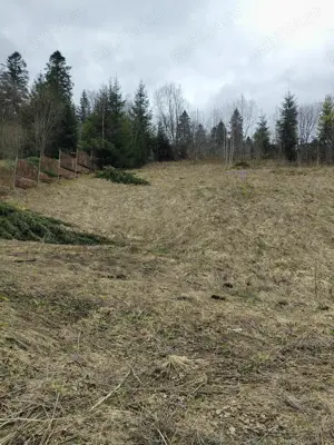 Teren intravilan situat in Predeal