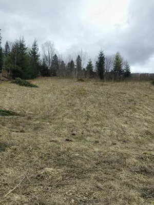 Teren intravilan situat in Predeal - imagine 4