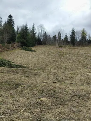 Teren intravilan situat in Predeal - imagine 3