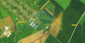 Teren extravilan Alunis-Arad. 92.700 mp Inchiriere pt parc fotovoltaic - imagine 8