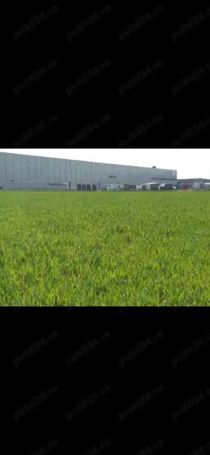 De la proprietar teren industrial zona Giarmata - imagine 6
