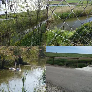 Casă cu teren de vânzare lângă lac in TĂURENI , jud Mures - imagine 7