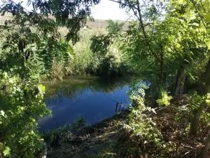 Casă cu teren de vânzare lângă lac in TĂURENI , jud Mures - imagine 8