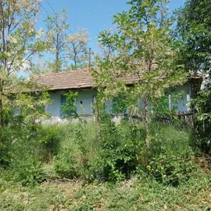 Vand casa batraneasc - imagine 5